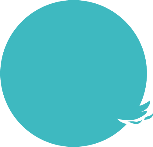 circle design