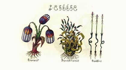 《塞拉菲尼抄本》